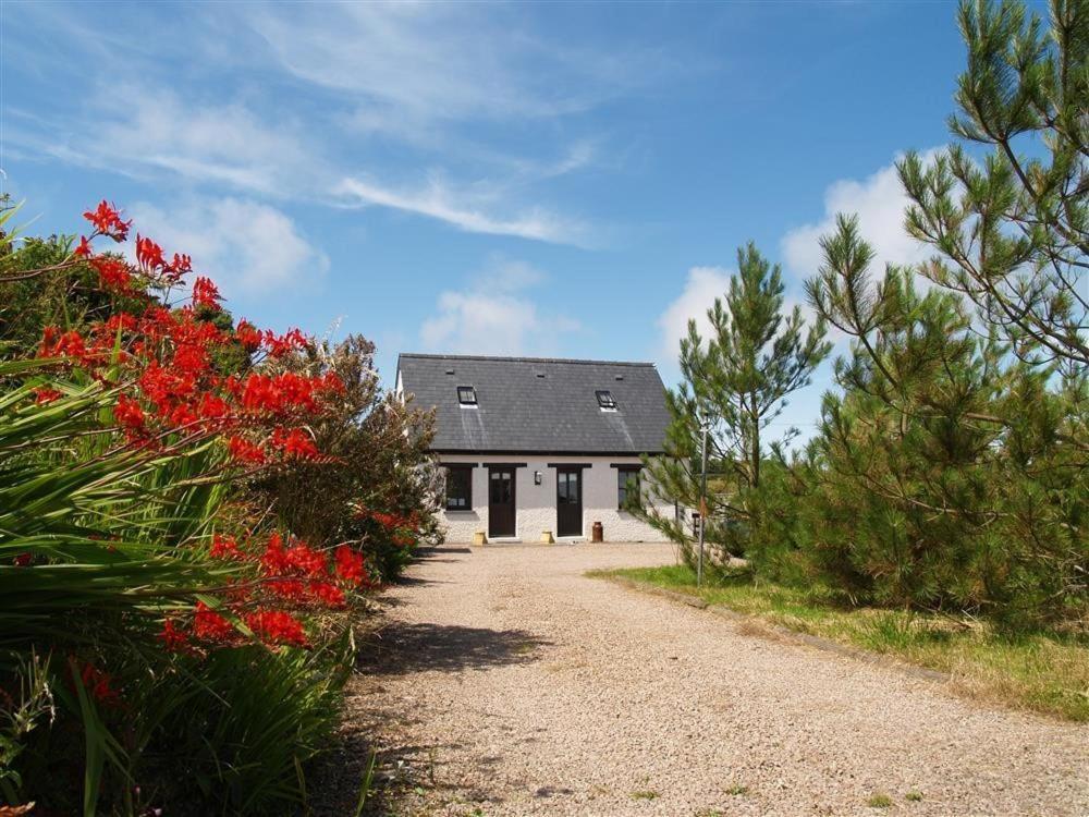 Cockshead Cottage Saint Dogmaels Eksteriør billede
